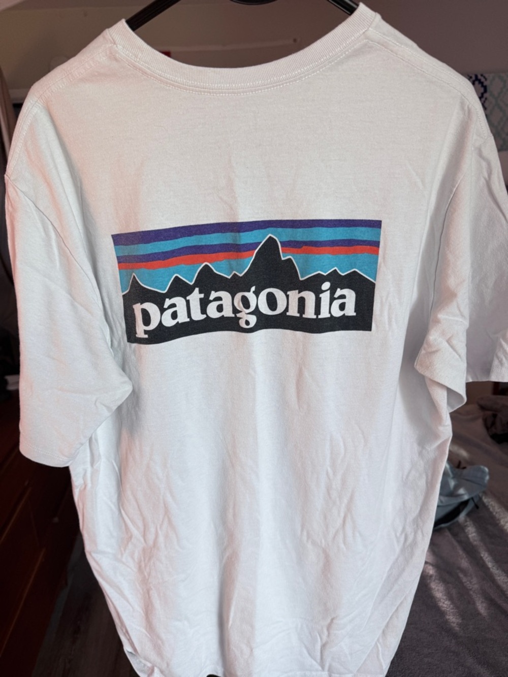 Patagonia White Tee with Multicolor Mountain Stripe